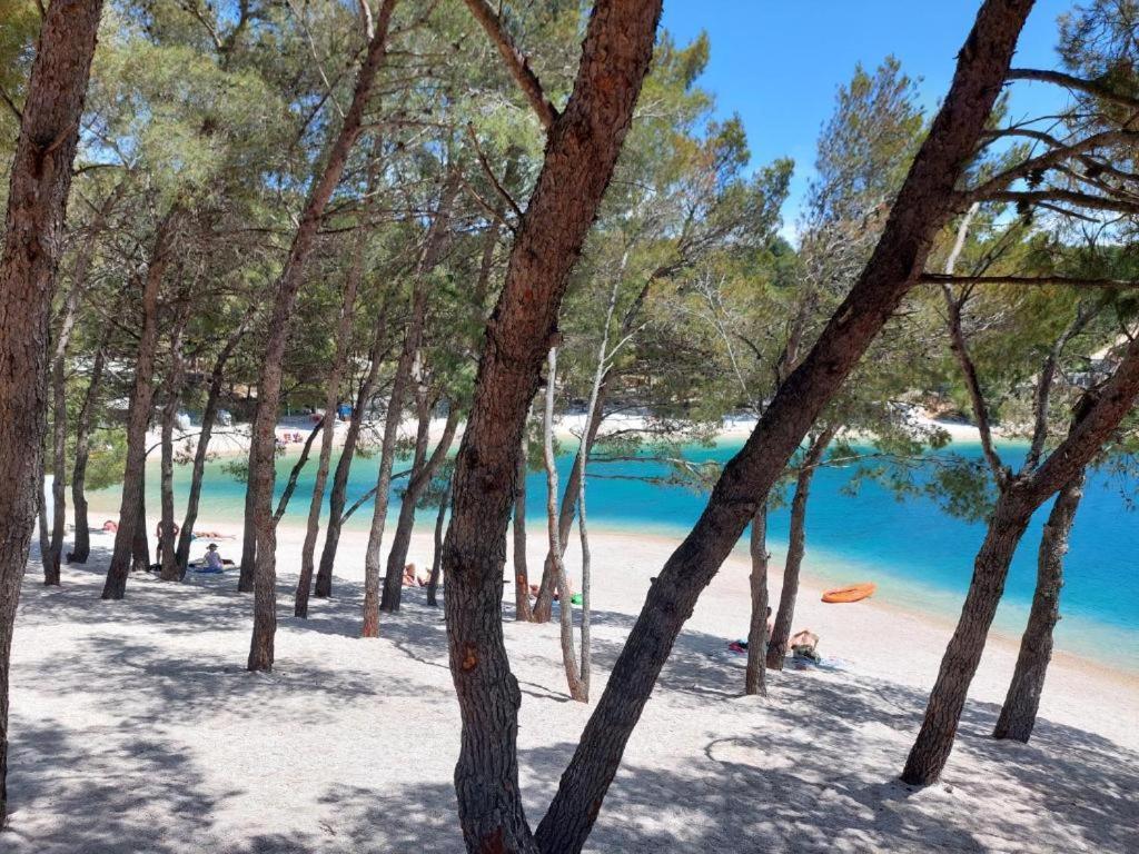 Luxury Mobile Home Pretty Green - Premium - Oaza Mira Resort -50 M From The Beach Драге Екстериор снимка